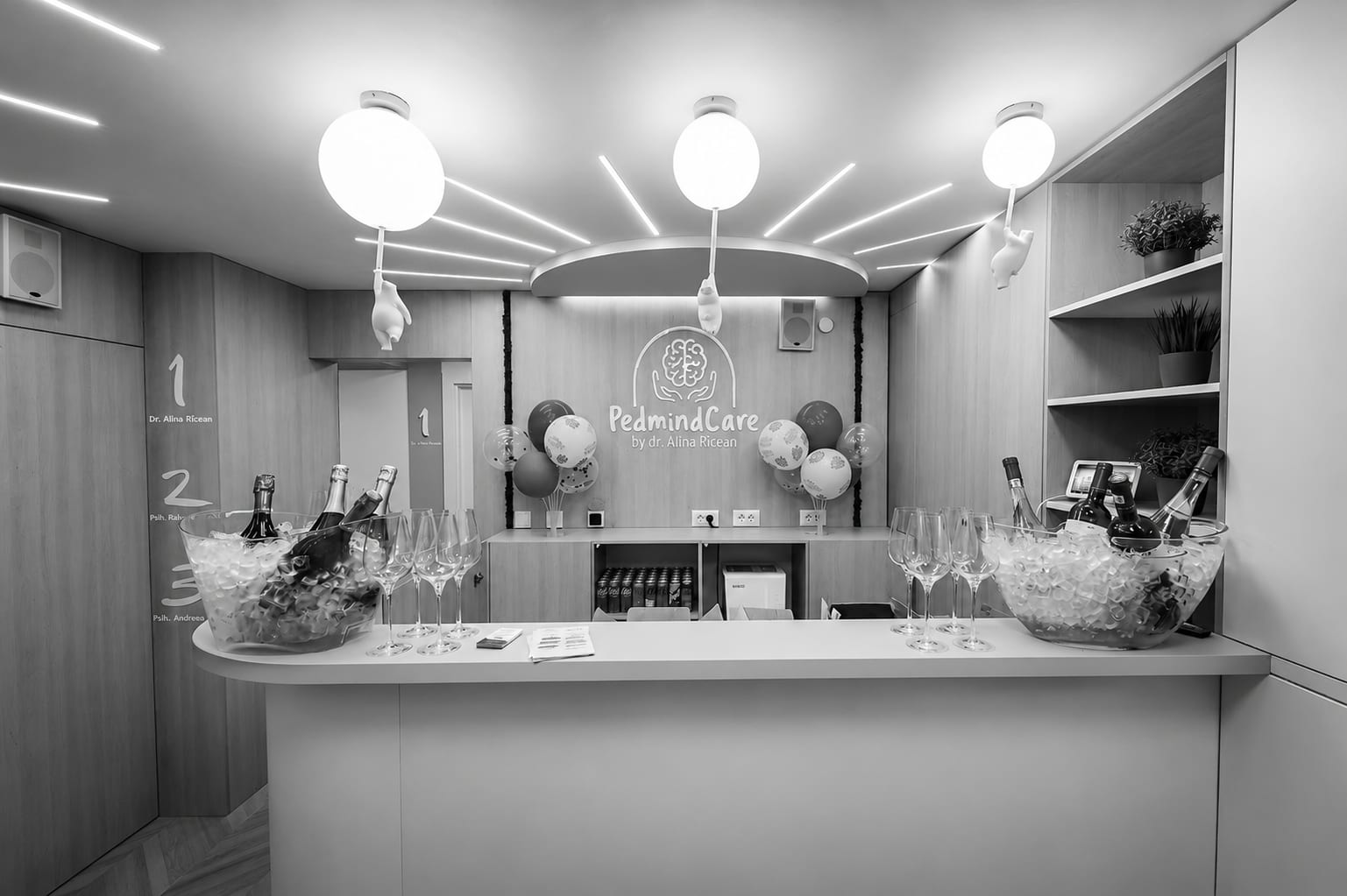 Cabinet de Psihologie — Interior